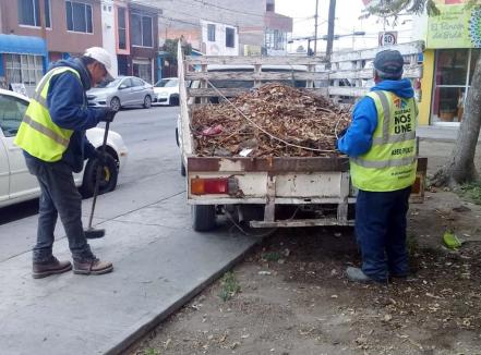 Soledad alcanza 95% en cobertura de recolección de basura