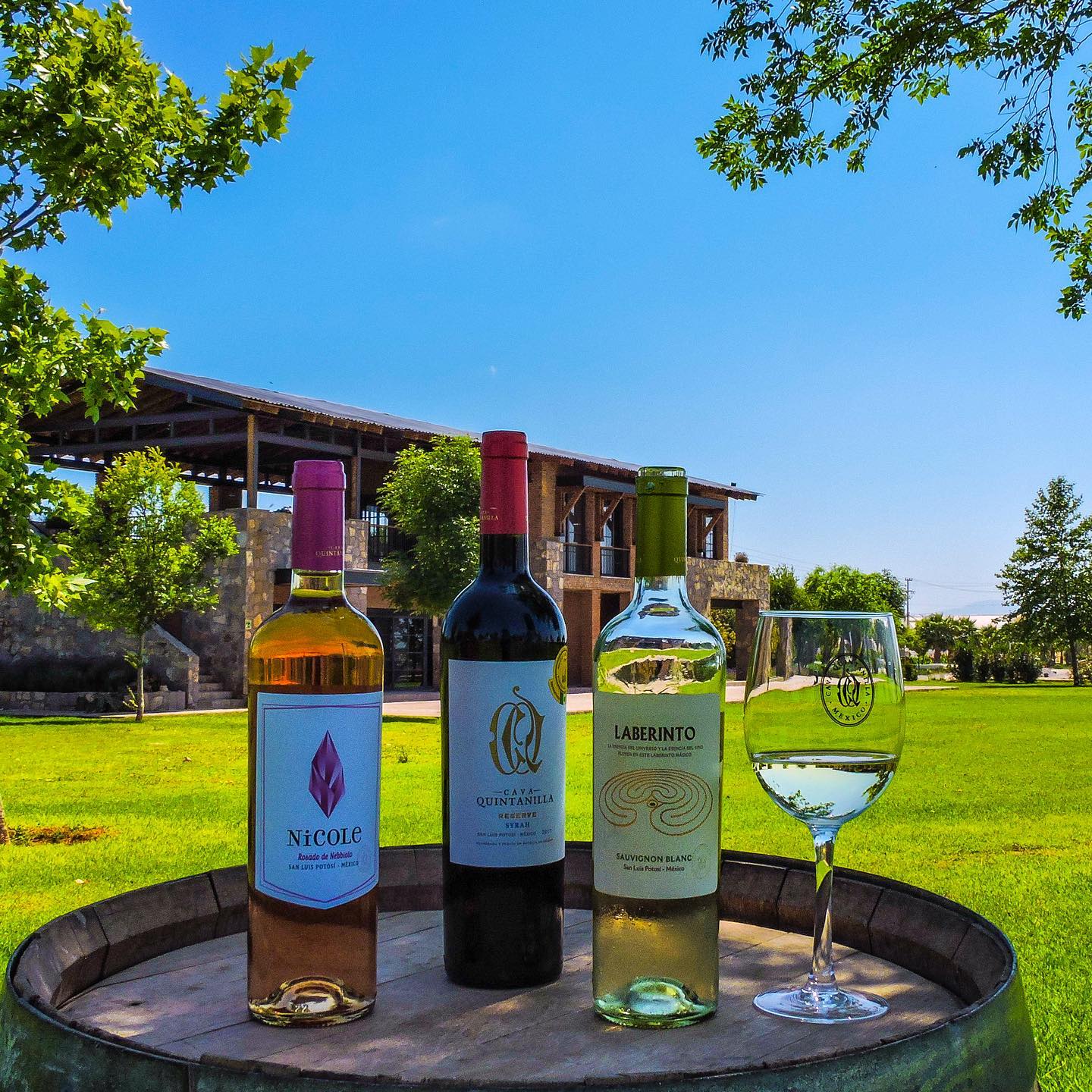 Estas son las 4 líneas de productos de Cava Quintanilla. Foto: Cava Quintanilla, FB