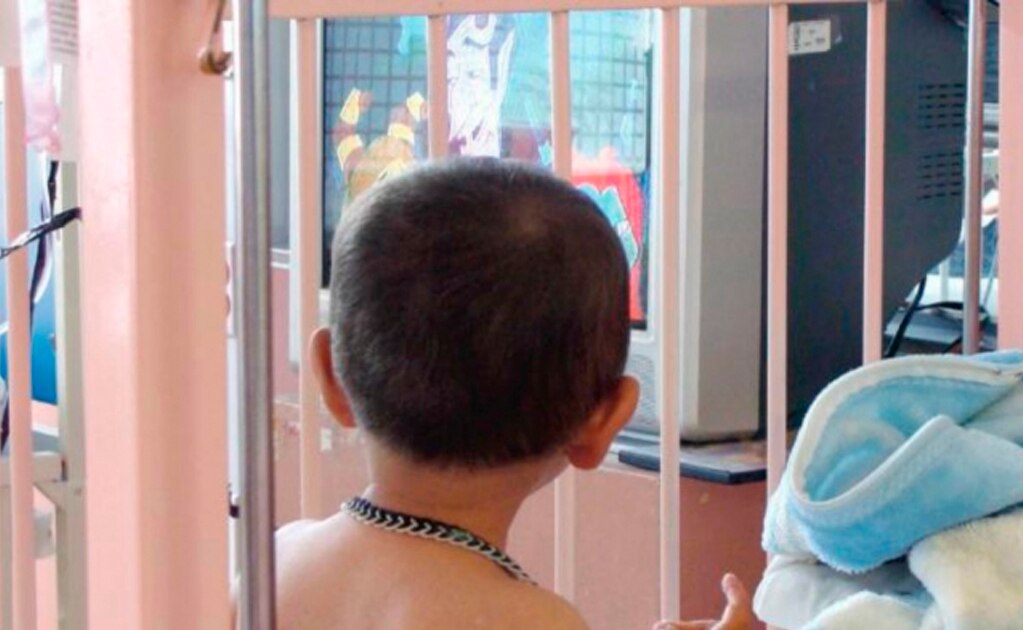 IMSS usa sangre placentaria para combatir leucemia en niños