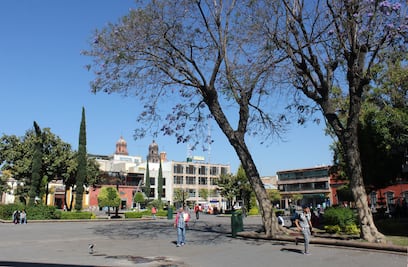 Prevén incremento de temperaturas durante el fin de semana para SLP