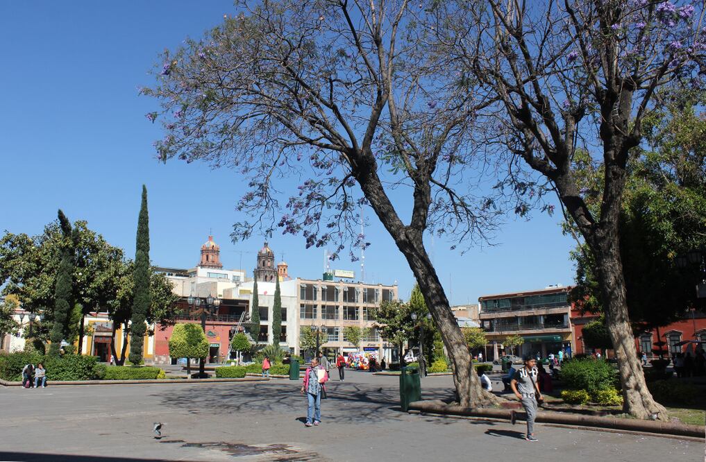 Foto: Archivo El Universal San Luis Potosí