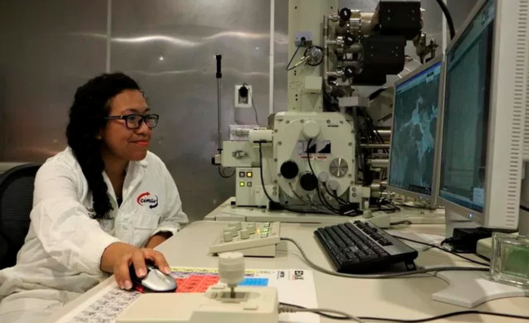 La investigadora Berenice Domínguez fue distinguida por este proyecto con la Beca para Mujeres en la Ciencia L’Oréal-Unesco-Conacyt. Foto: Conacyt