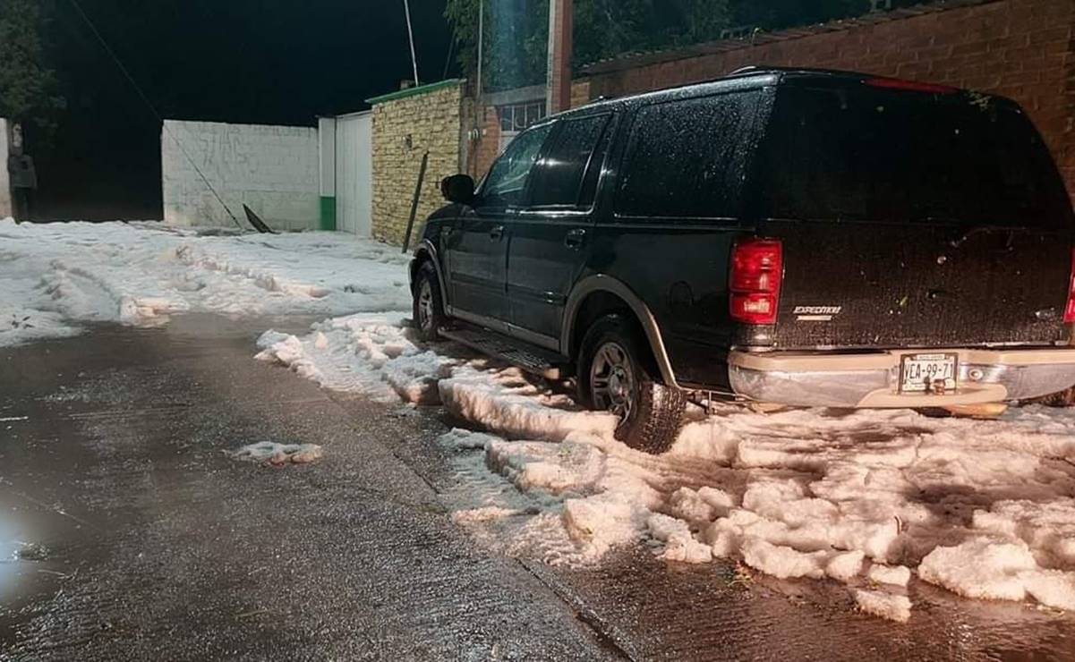 Árboles y postes caídos, el saldo de la granizada en la capital y Altiplano de SLP 