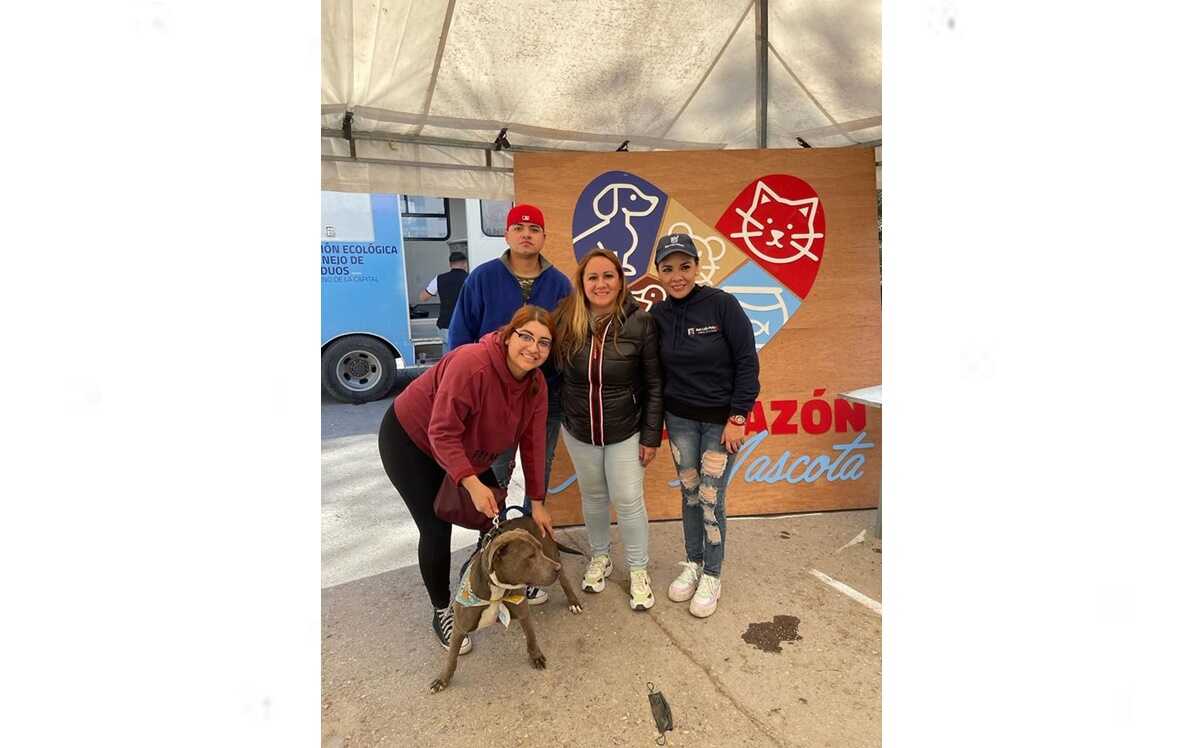 ¡Dales un hogar! Llega Festival de la Adopción Canina y Felina a la capital de SLP