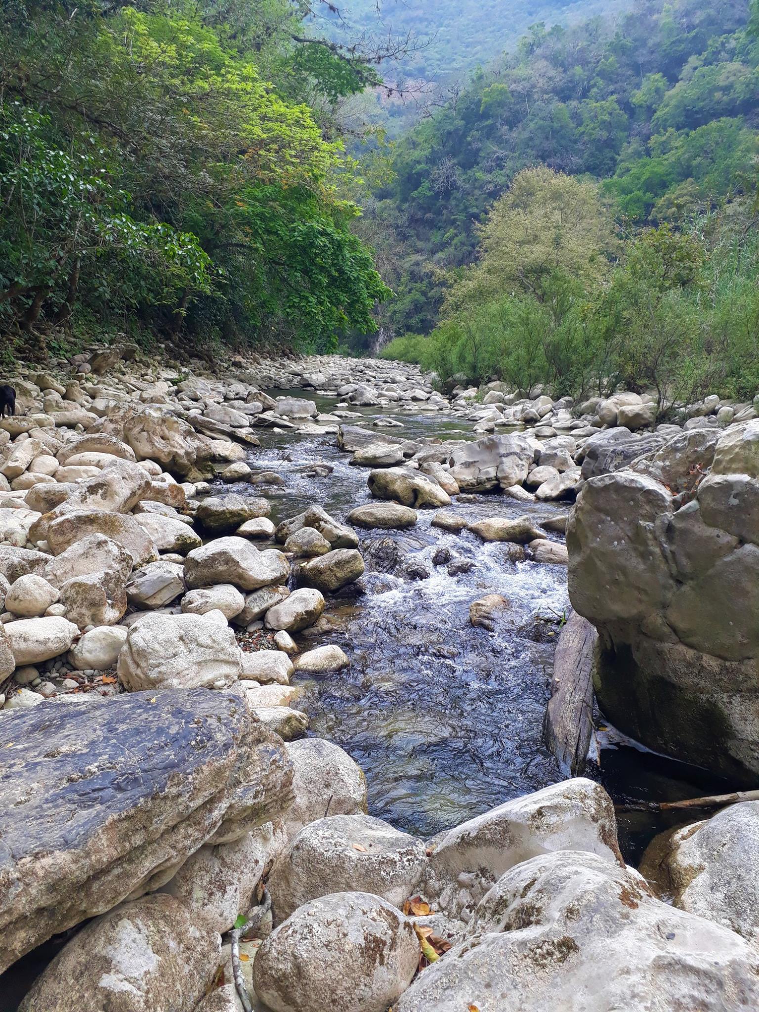 Aguazarca en SLP. Foto: Aguazarca, Tmzle., SLP.