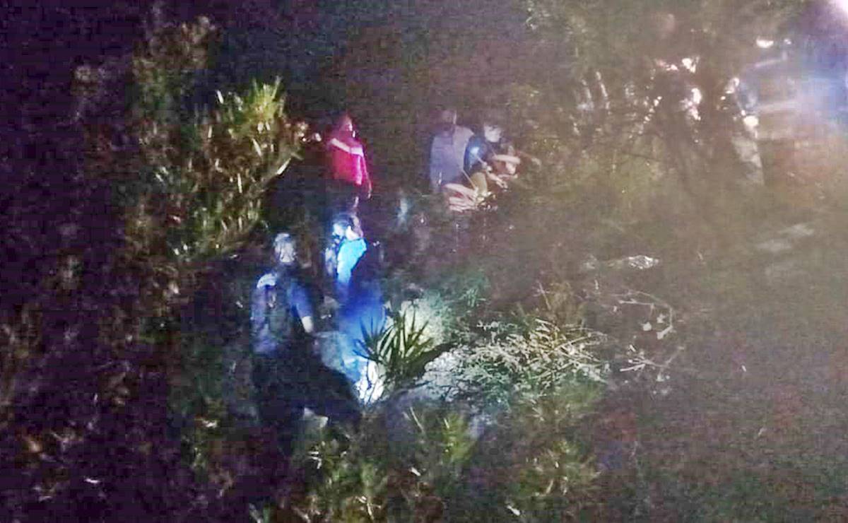 Cadáveres de animales hallados en San José de Buenavista serán examinados por la UASLP