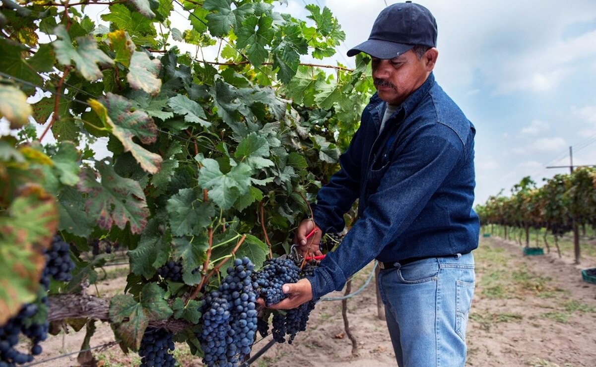 Foto: San Luis Potosí Turismo.