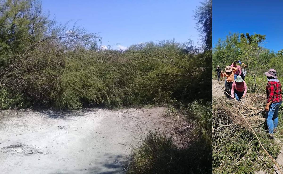 Con ramas y advertencia, obstaculizan caminos e impiden paso a madres buscadoras en Rioverde, SLP