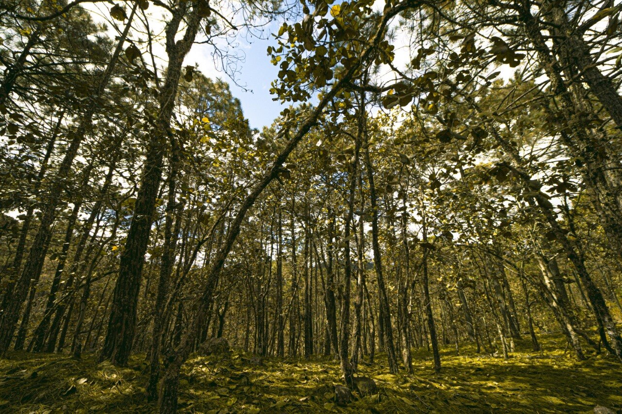 SEGAM publica nuevos planes de manejo para Áreas Naturales Protegidas