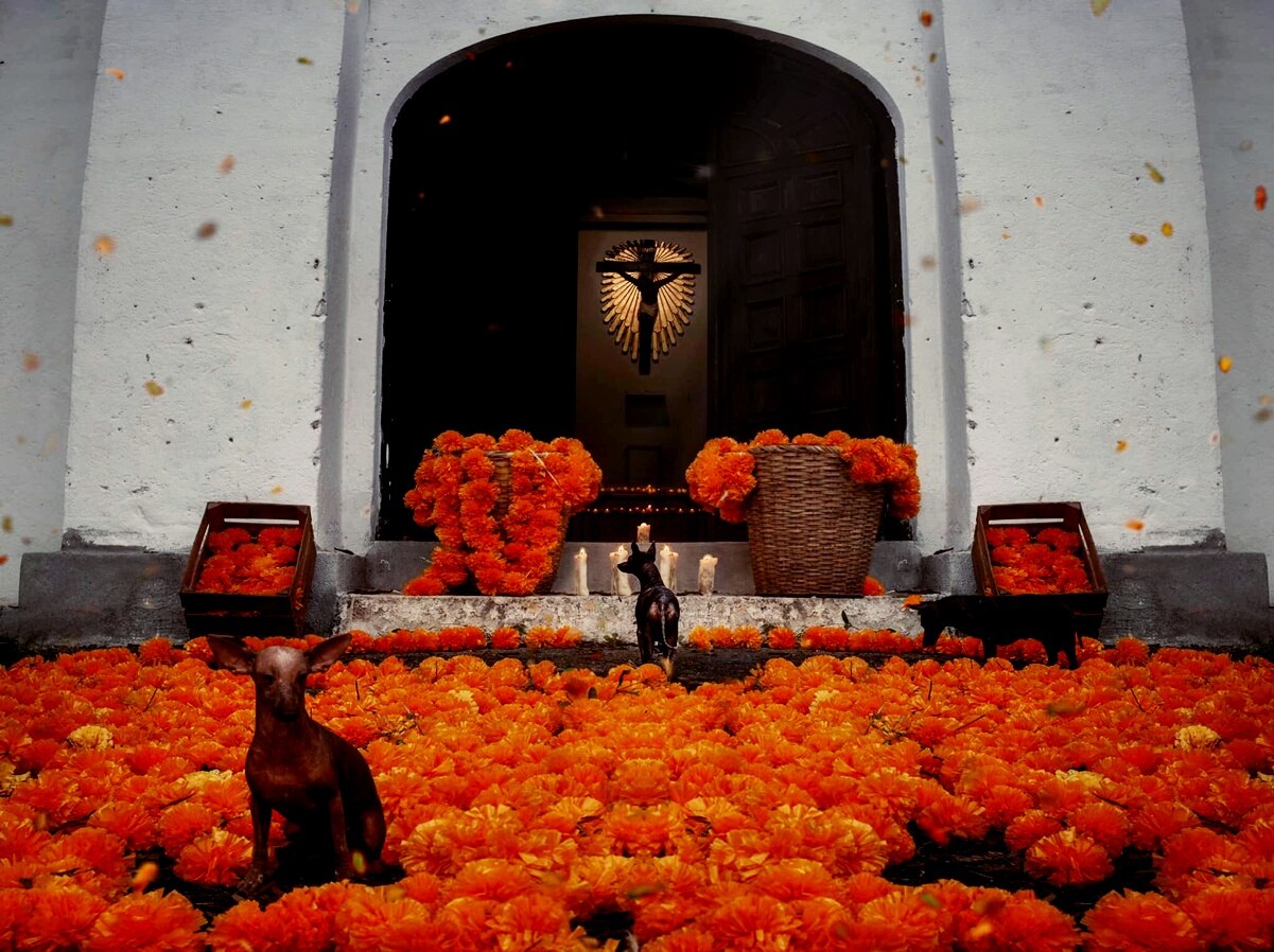 Foto: Arath Zumaya Fotografía -visualszm.