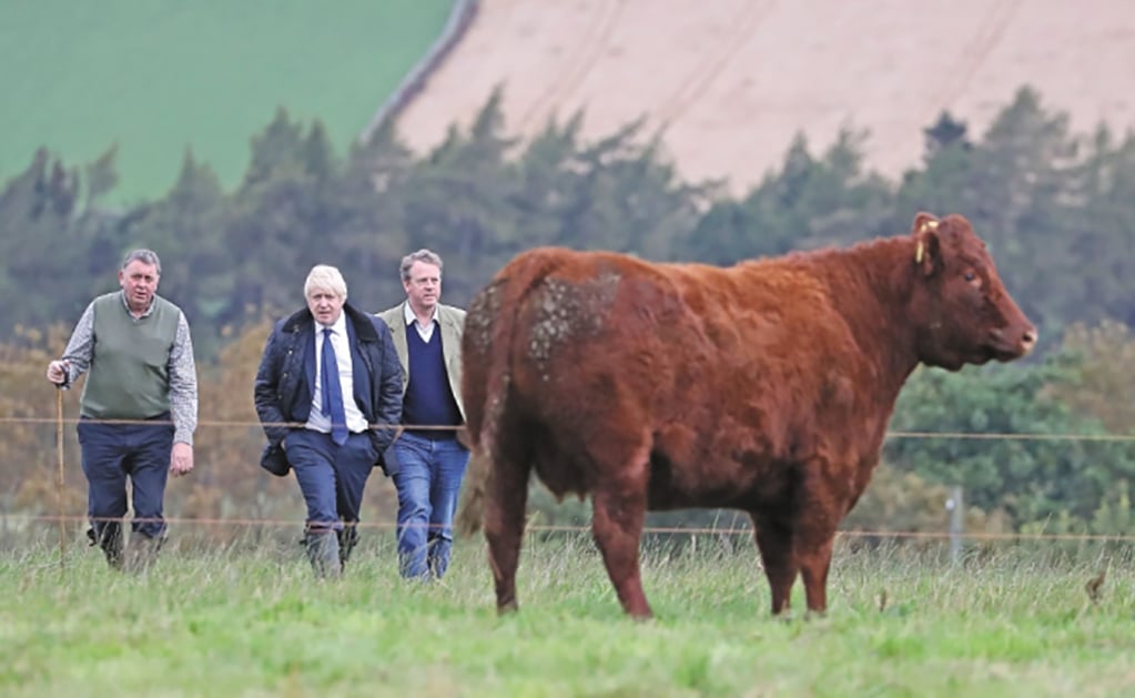 Brexit: caos eterno que encamina a Reino Unido a elecciones