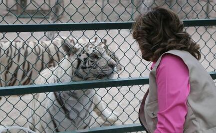 Zoológico de Mexquitic, con panorama complicado ante pandemia de Covid-19
