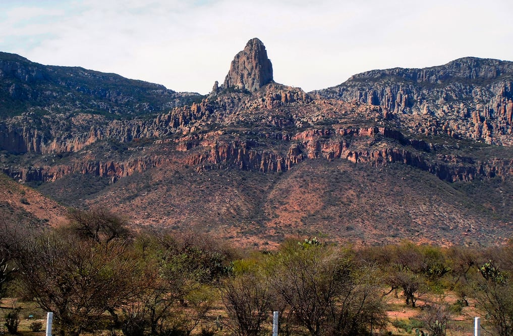 foto: Archivo El Universal SLP