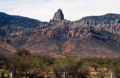 Intentarán un nuevo despojo de tierras a la Sierra de San Miguelito