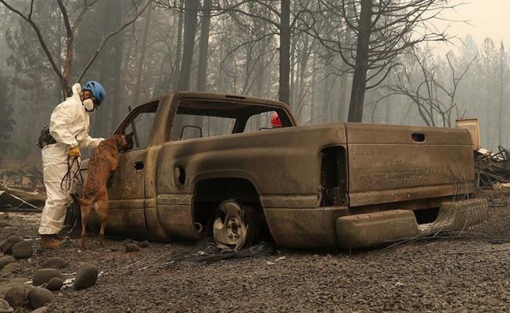  Gobierno de EU culpa a grupos medioambientales por incendios en California