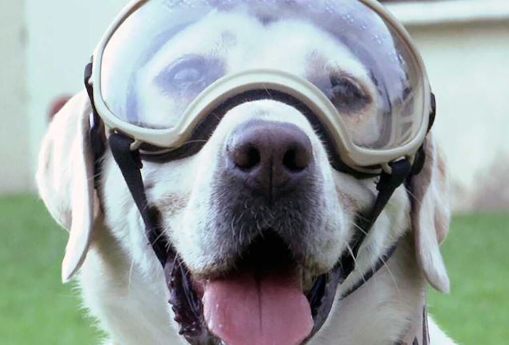 'Frida' ya tiene su estatua en Puebla