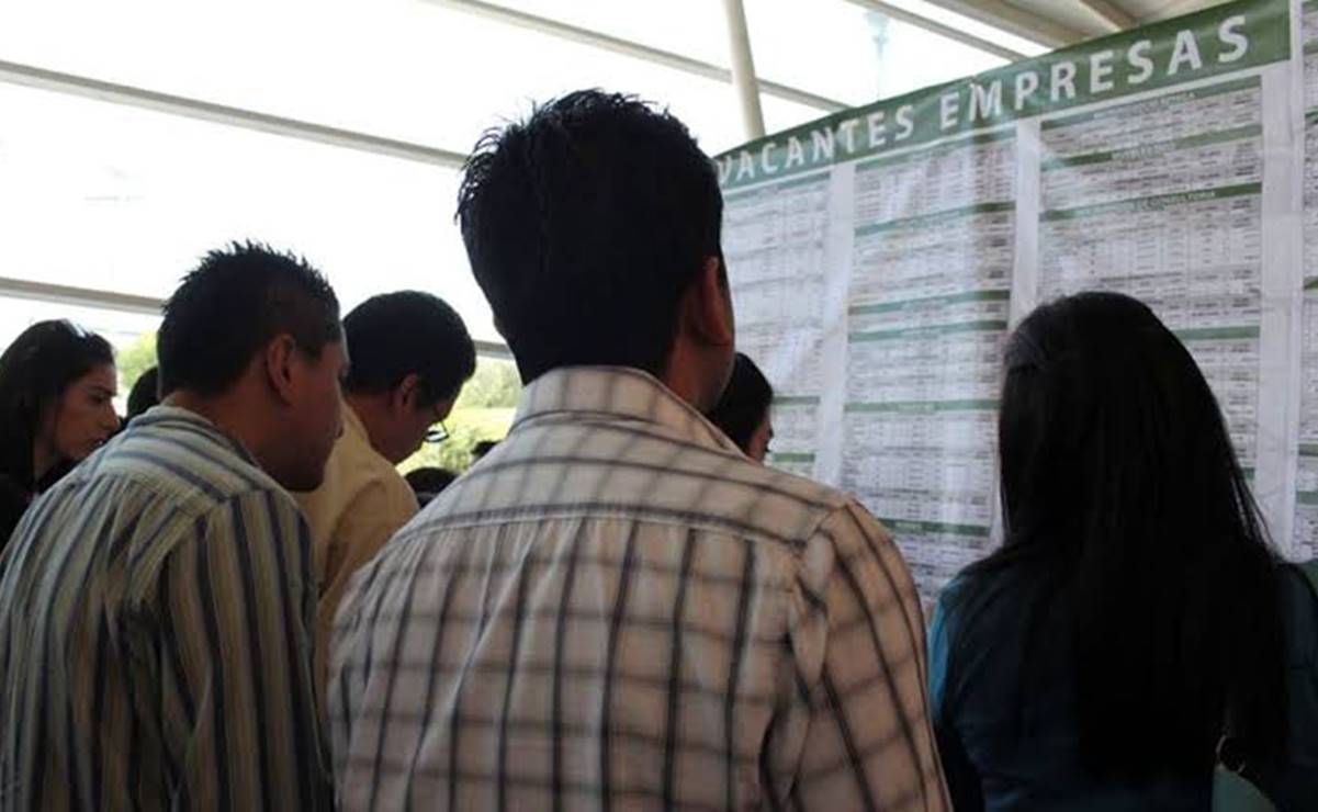 Estas son las carreras con mayor número de profesionistas en SLP, según el IMCO