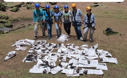 Gobierno de SLP busca sancionar a grupo Vidanta por sobrevolar el Sótano de las Golondrinas