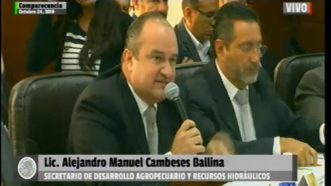 Desde hace 22 años SLP no puede exportar ganado, revela Cambeses Ballina  