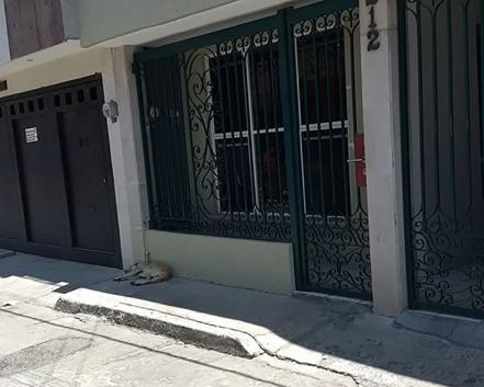 Ley capitalina de ecología violenta derechos humanos y animales: PROLEAN