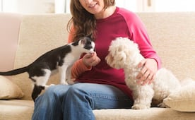 Así puedes registrar a tus mascotas en el municipio de SLP para su seguridad y protección