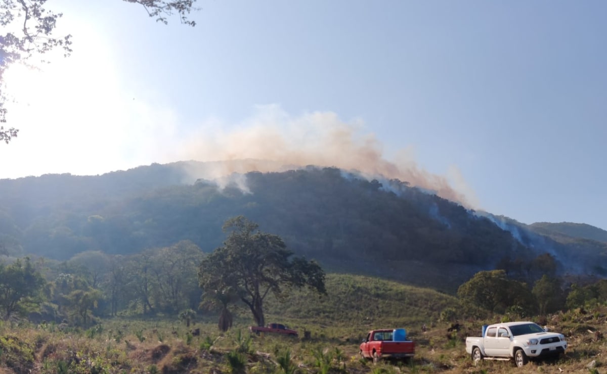 Disminuyen incendios durante temporada invernal en Soledad