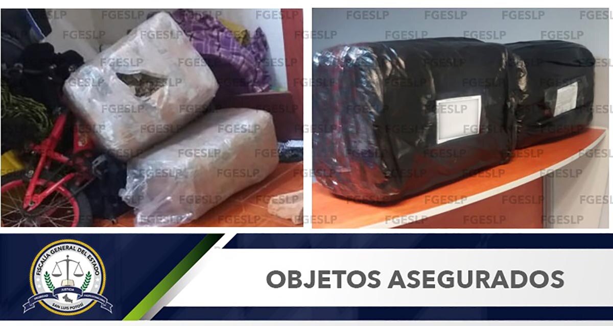 En cateo decomisan 16 kilos de marihuana en Soledad