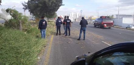 Árbol cae sobre taxi en carretera Matehuala