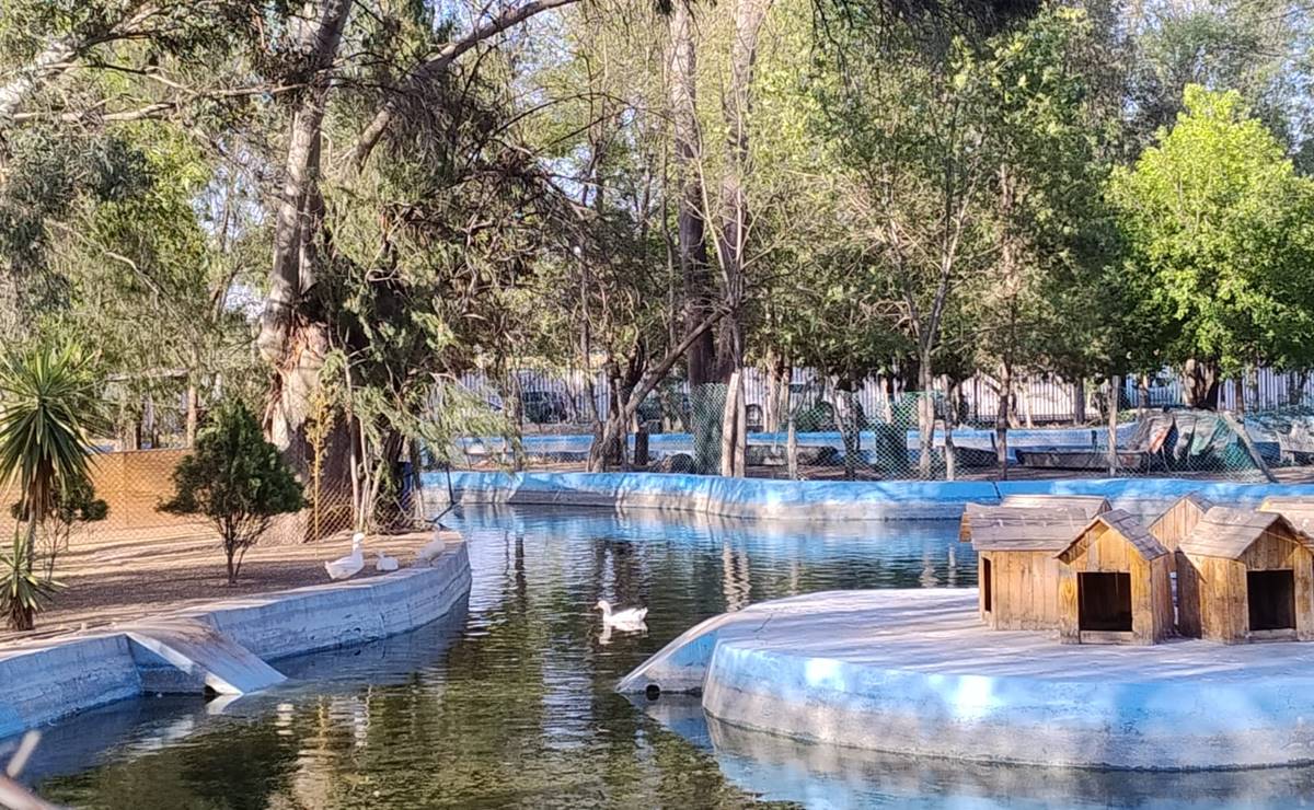 Un rincón centenario en San Luis Potosí; el parque de Morales llega a sus 100 años de vida