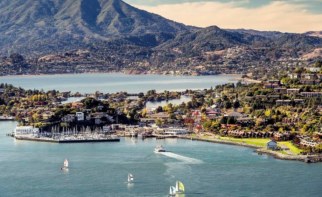 Foto: tomada de Website Tiburón, California