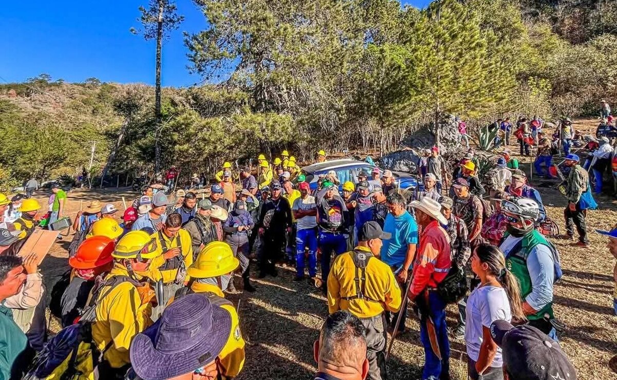 Incendio forestal en la Sierra Alta de Xilitla cumplió 7 días. Foto: Especial
