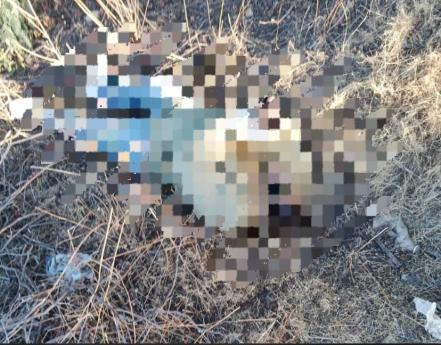 Localizan cuerpo decapitado en Arroyos, capital de San Luis Potosí