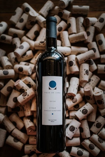 Vino tinto Syrah de la marca potosina Pozo de Luna. Foto: pozodeluna.mx