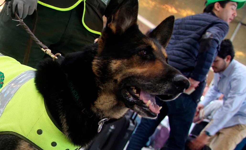 Foto: EFE | El Universal