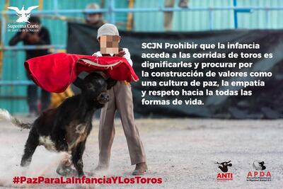 Animalistas lamentan que la Suprema Corte avaló que menores de edad puedan entrar a corridas de toros en SLP 