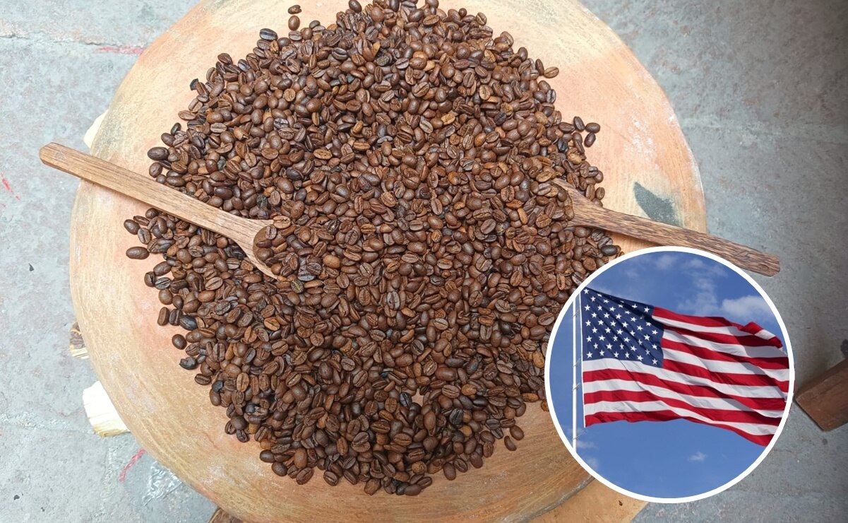 Café de Xilitla: ¿Cómo se prepara ante los aranceles de Trump?