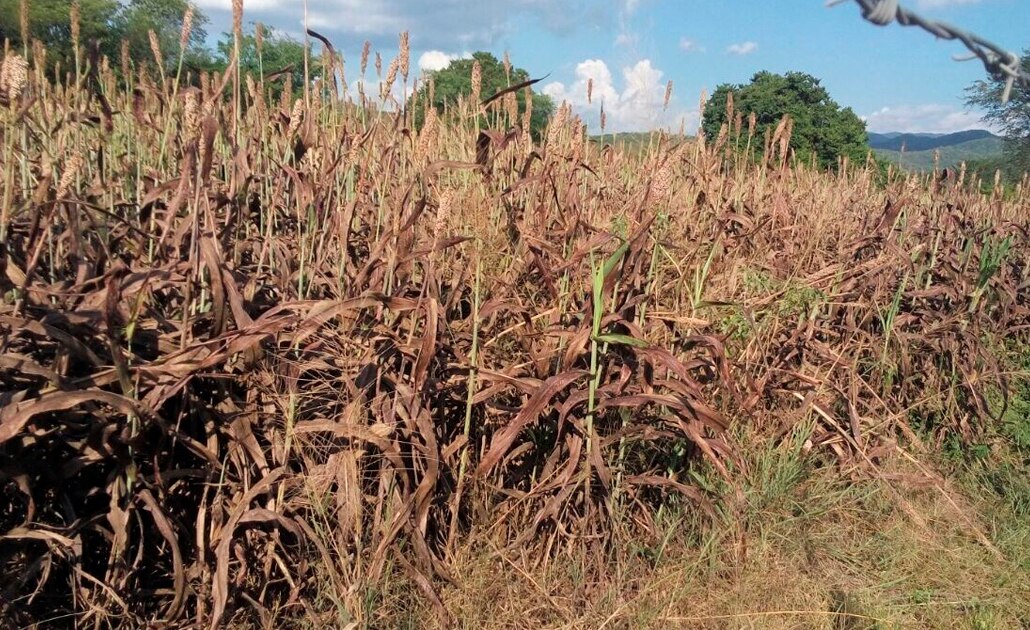 Comisión Estatal del Agua se prepara para enfrentar sequía
