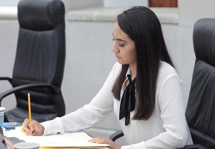 Partido Verde busca modificar la ley, ante aumento de violencia intrafamiliar en SLP