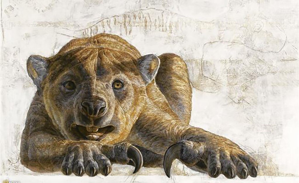 Hallan un fósil del extinto "león marsupial"