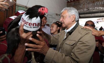 Pide AMLO a observadores internacionales acudir ya a México