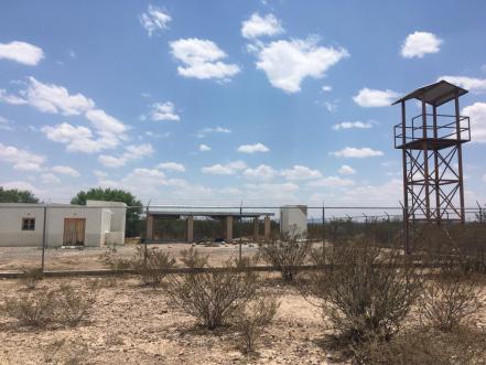 El saqueo incontrolado del peyote y la destrucción cultural wixárika en SLP