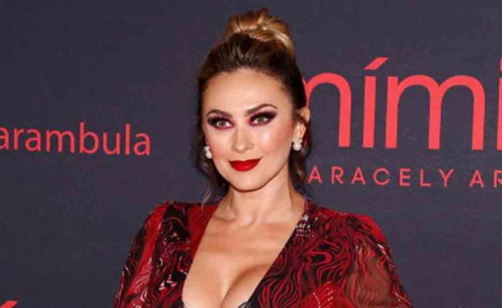 Aracely Arámbula responde sobre Luis Miguel al estilo Luisito Rey