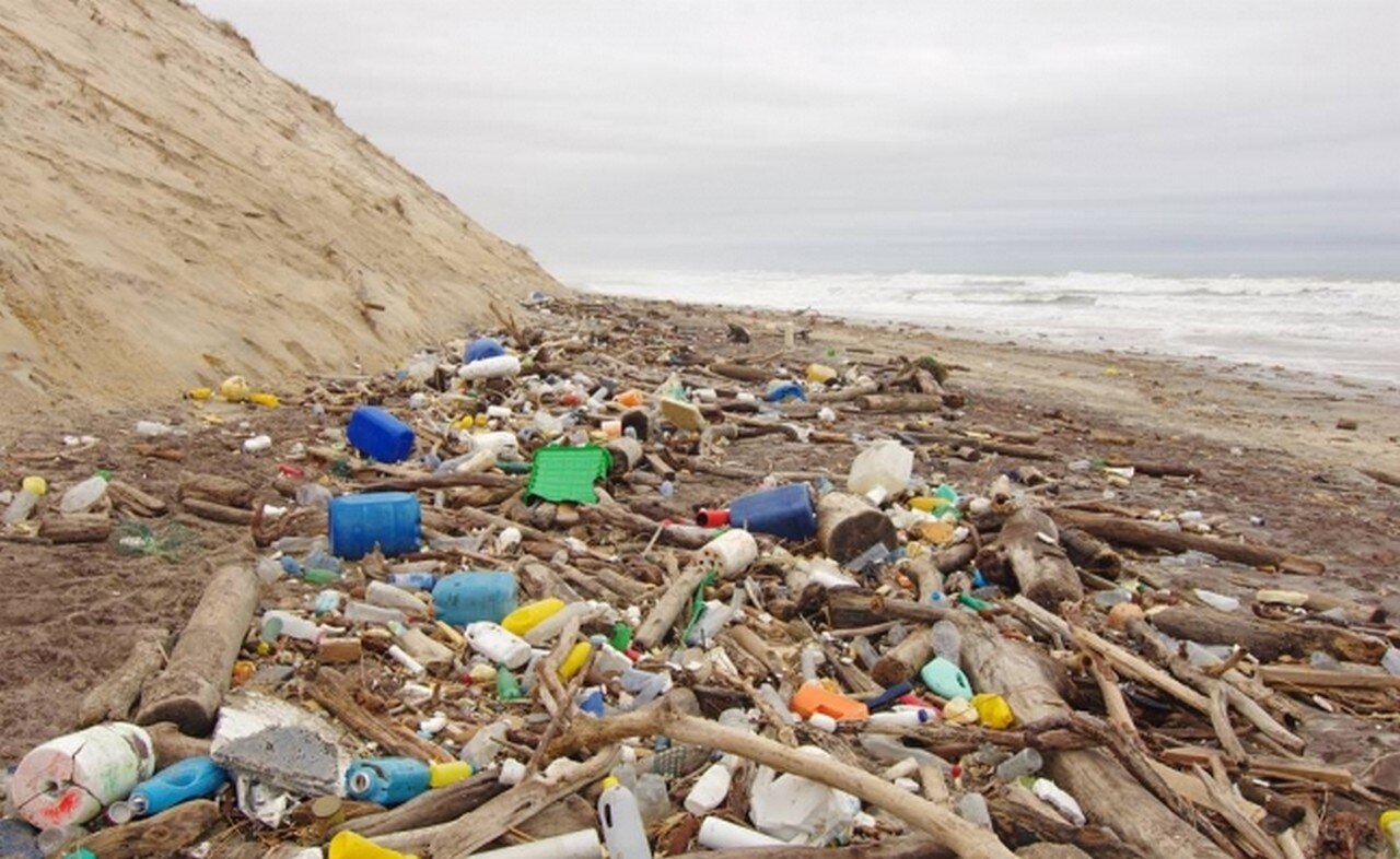 (Foto: Archivo / EL UNIVERSAL)