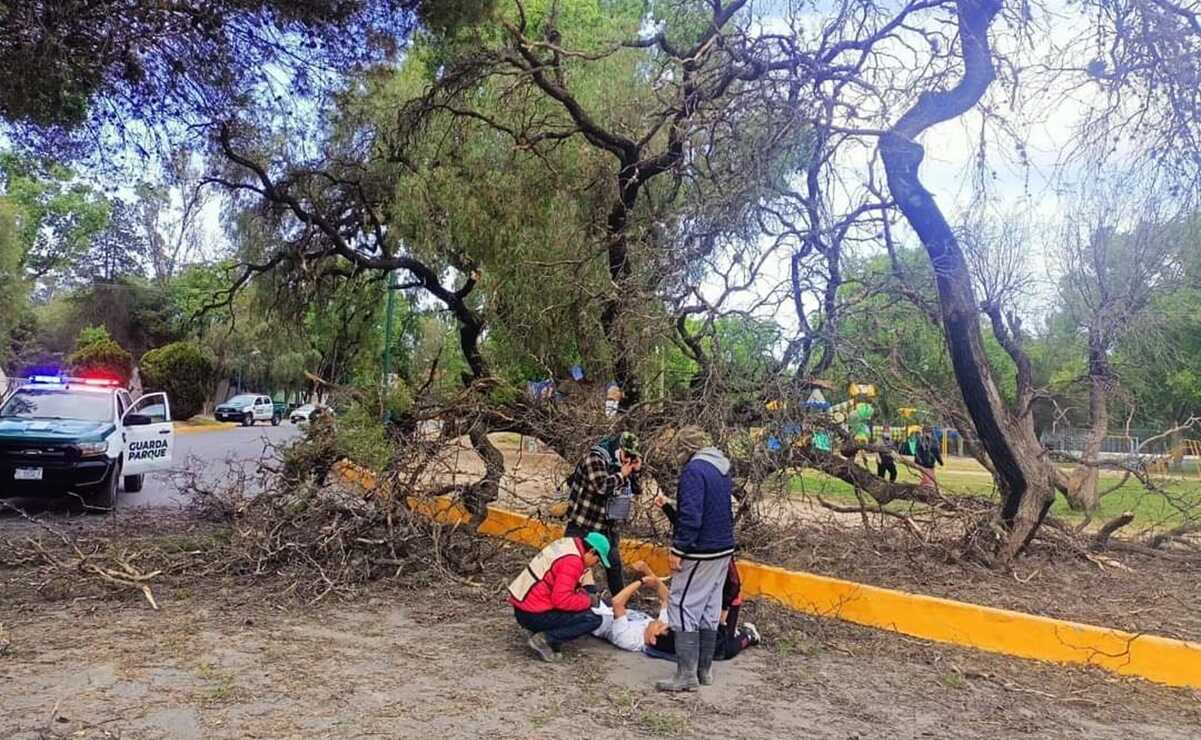 Cierran parques de la capital potosina por fuertes ráfagas de viento 