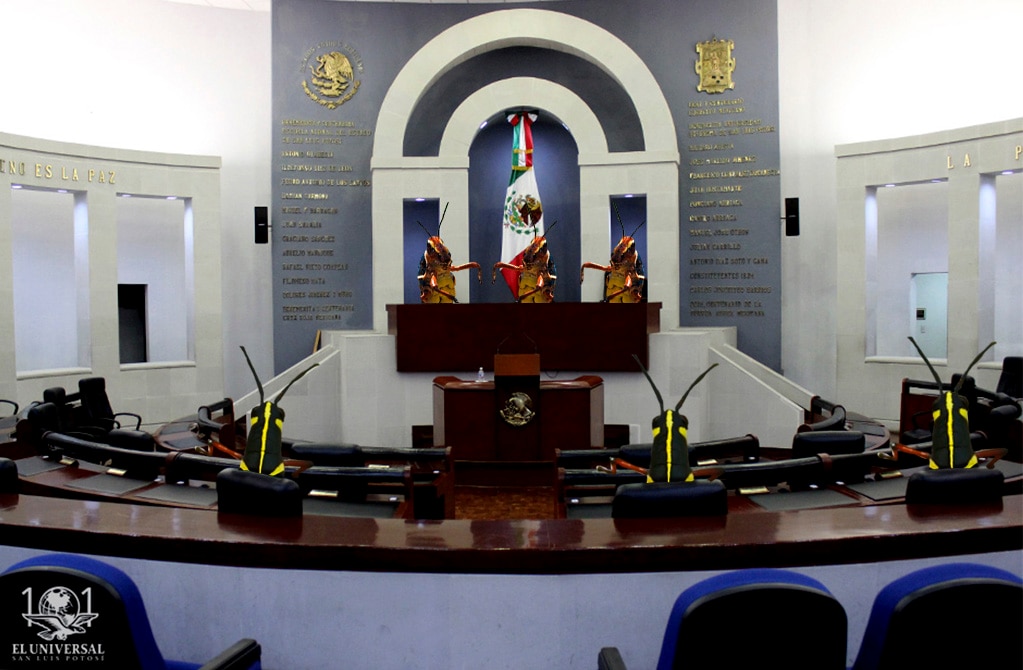 “Chapulineo” se desató en SLP 