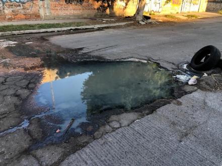 Reportan colapso de drenaje cerca de avenida B. Anaya en SLP; brotan vísceras de animales, aseguran vecinos