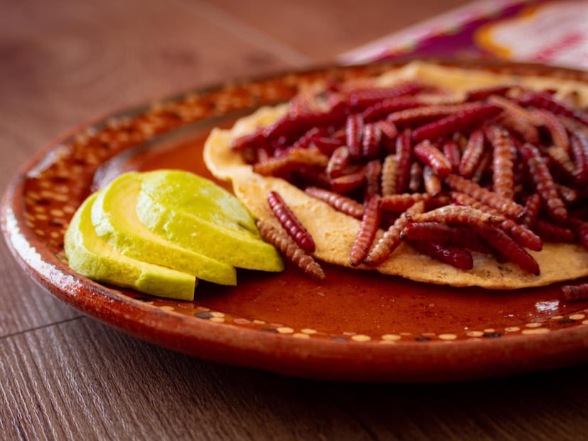 Tacos de chinicuiles o gusanos de maguey. Foto: FB@Azcatlmolli Restaurante