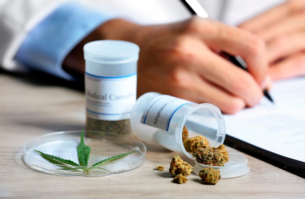 Sector farmacéutico a favor del uso de cannabis 