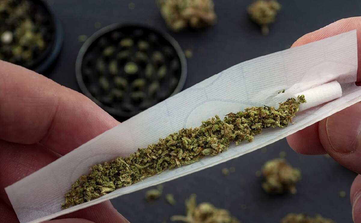 Crece el consumo temprano de drogas en San Luis Potosí, advierte Instituto Temazcalli