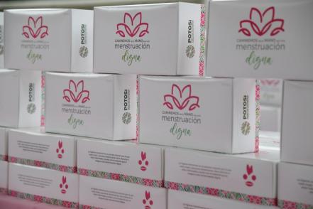 Potosinas de zonas marginadas de la Huasteca reciben kits menstruales
